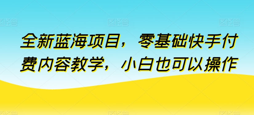 全新蓝海项目小白零基础快手付费内容教学